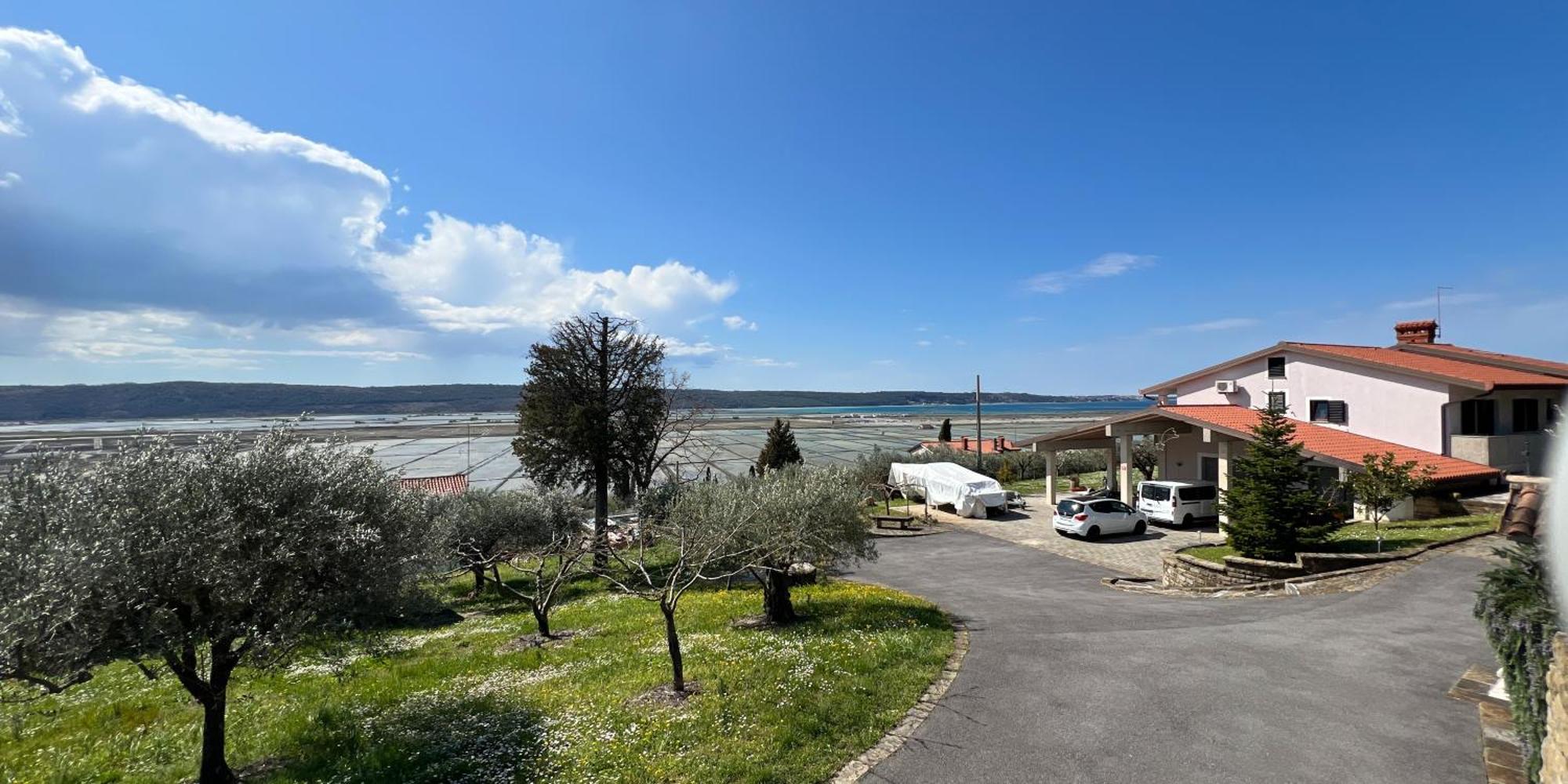 Blue Horizon Apartments Seca Portorož Exteriör bild